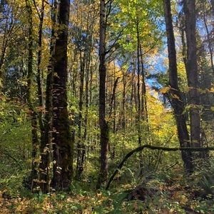 Meet your Posher, Yang